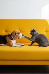 IKEA SÖDERHAMN 3'LÜ KOLTUK + KOLÇAKLI KILIF (ÖZEL DİKİM)