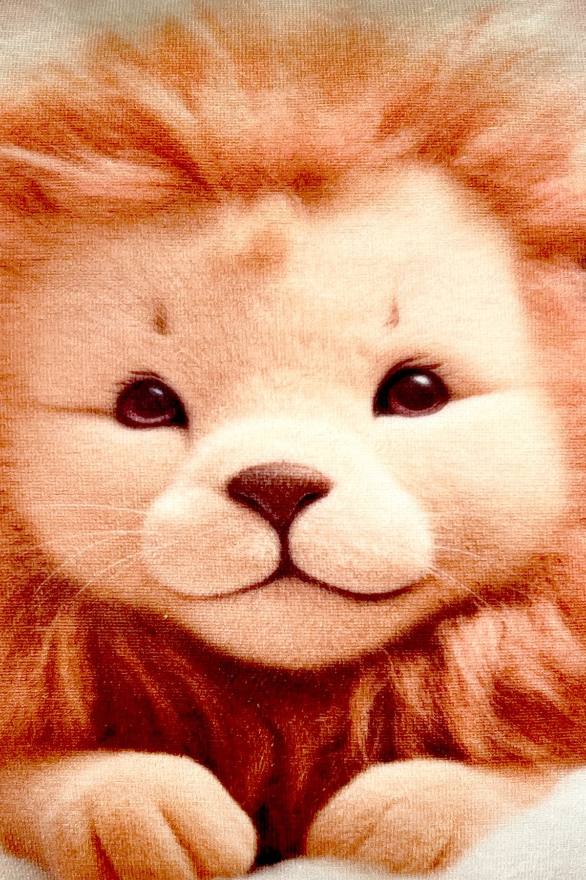 Little Lion – Aslan Temalı İç Dolgulu Dijital Baskılı Kadife Çocuk Kırlenti (32x32 cm)