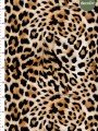 Leopar Desenli Dijital Baskılı Kumaş Leopar Desenli Dijital Baskılı Kumaş